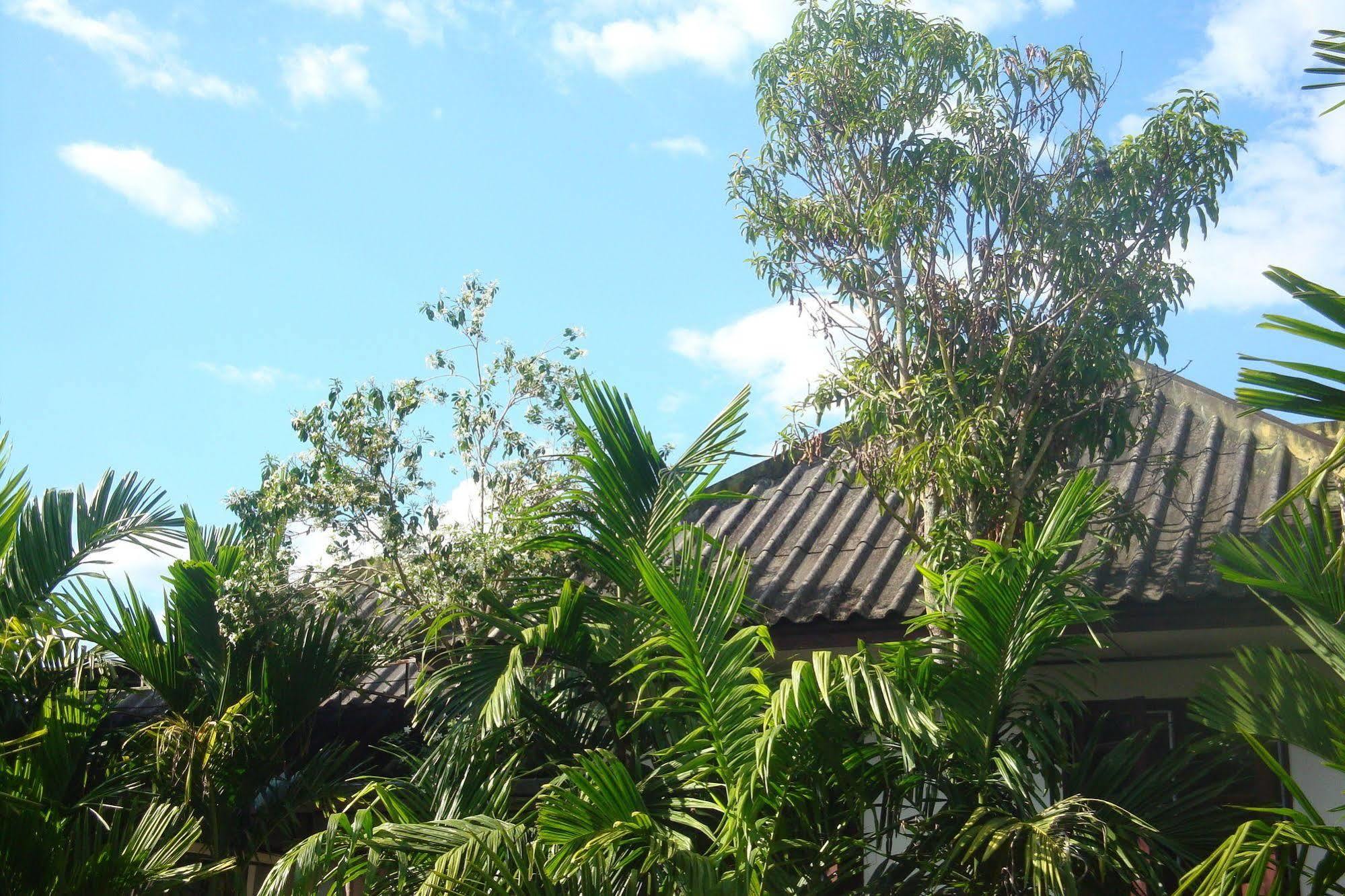 Ming Guesthouse Pai Ngoại thất bức ảnh