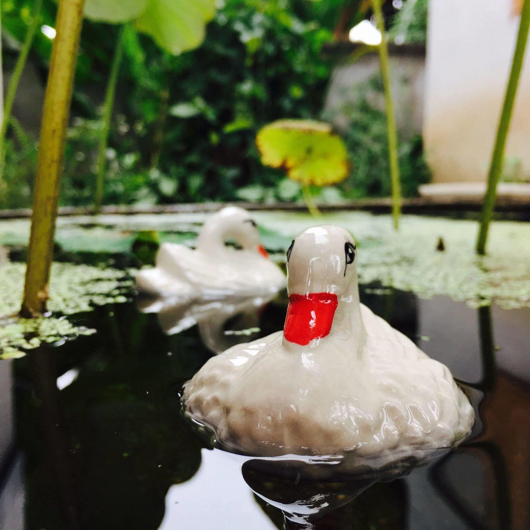 Ming Guesthouse Pai Ngoại thất bức ảnh