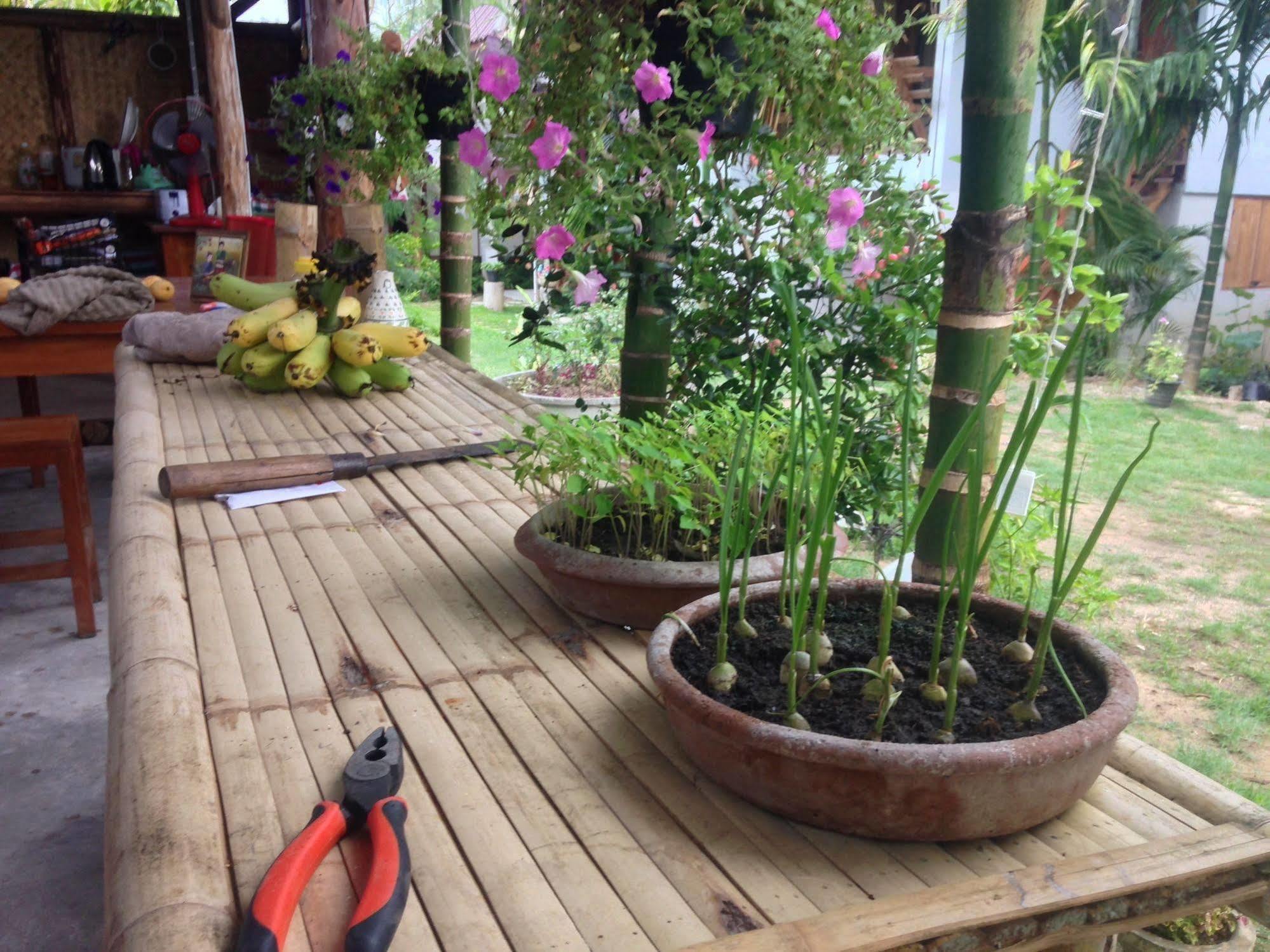 Ming Guesthouse Pai Ngoại thất bức ảnh